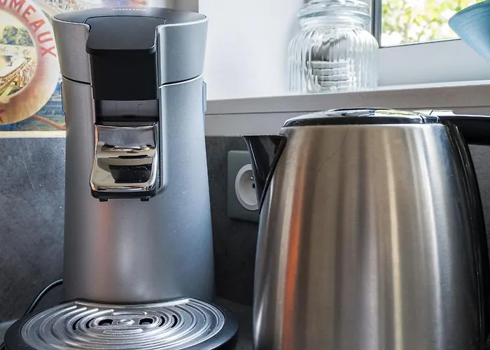 T5 Renove Avec Bureau Jardin Et Parking En Centre Toulouse